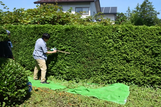 「生け垣の時間」に取り組む筆者