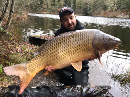 carpe commune des Agadis