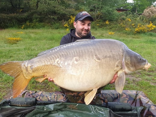 carpe de l'étang de Ruffaud