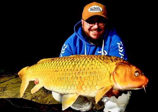 carpe koï de Ruffaud