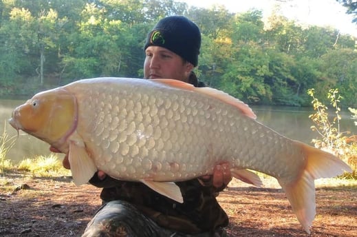 carpe koÏ d'Iktus Corrèze