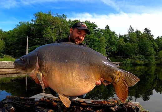 belle carpe de l'étang de Ruffaud