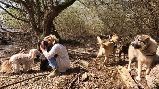 Beobachten lernen, Signale kennen und deuten, agieren statt reagieren