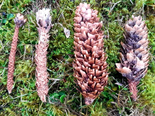 Foto: Wolfgang Winter