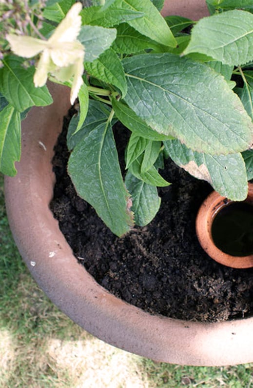 ollas poterie d'irrigation