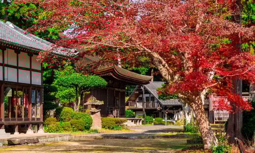 中山寺紅葉写真