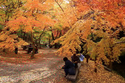 三重県紅葉_水沢もみじ谷2
