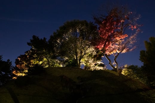 ~景KEI~二之丸庭園特別観覧 _PERIMETRON(ペリメトロン)十之景