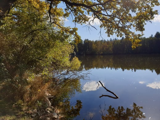 Herbstliche Stimmung am Eselweiher in Teublitz (Foto: Götte)