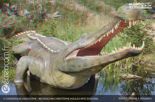 Conversion en anaglyphe 3D : Sarcosuchus