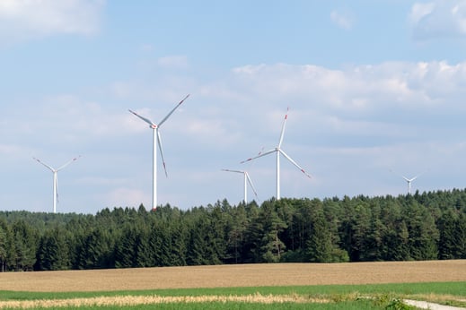 © Oliver Wittig LBV Bildarchiv