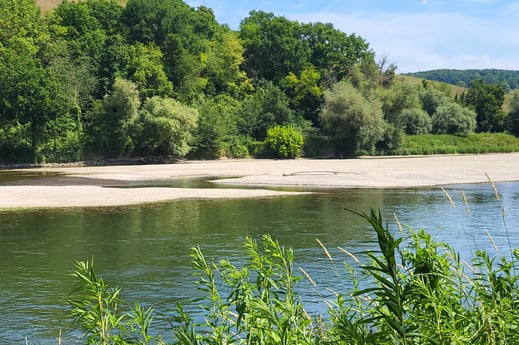Flussmittige Kiesbank in der Donau bei Staubing, Foto: LBV