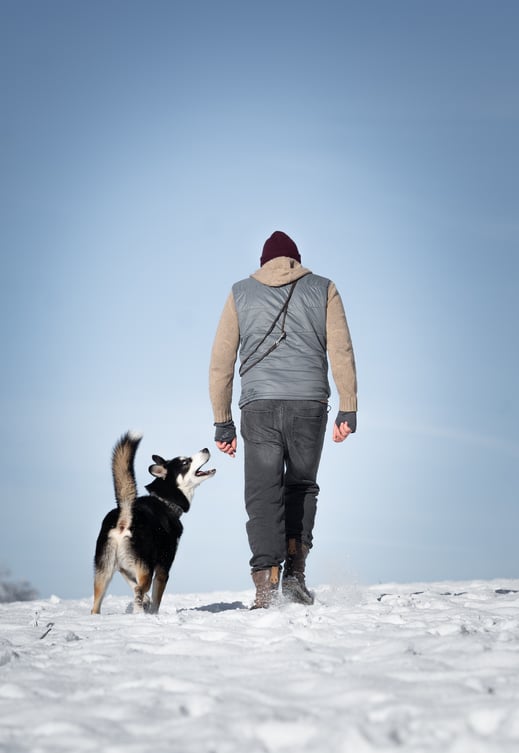 Tiergestützte Therapie für Jugendliche