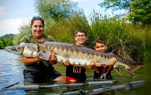 esturgeon Atlantique