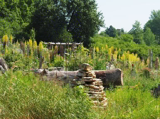 Foto: Michael Harich