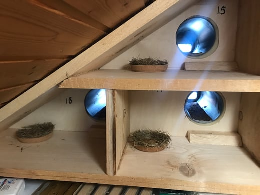 Mauerseglerkasten Innenansicht