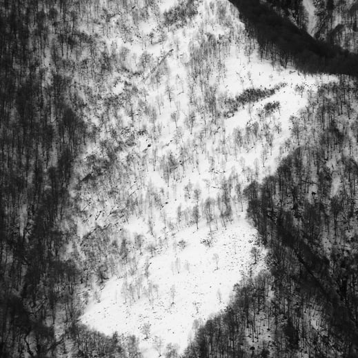 Légende : « Essence #1 » photo 10x14 cm. Patrice Dion