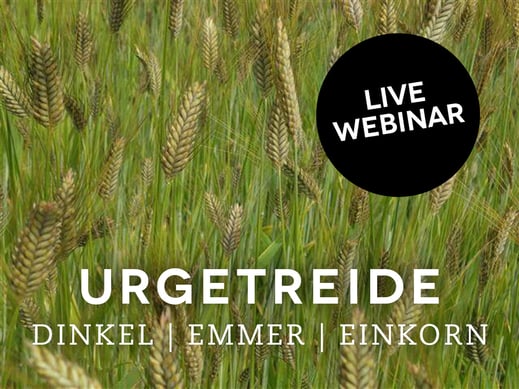 Webinar: Urgetreide