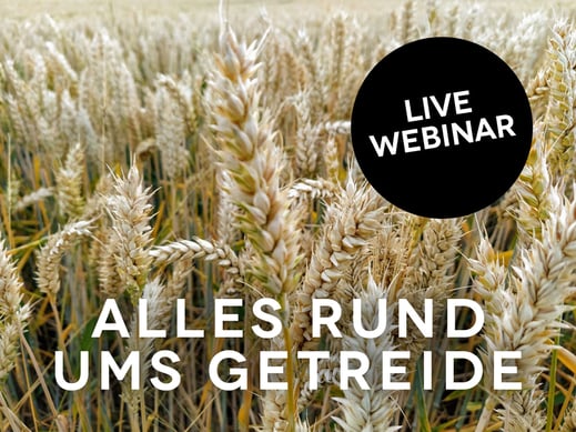 Webinar: Alles rund ums Getreide