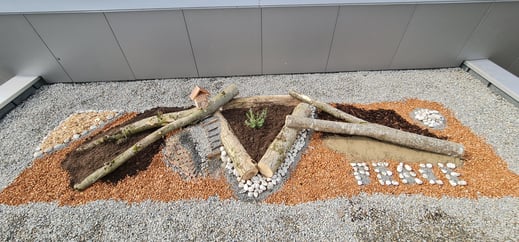 Biodiversität Bienendach Wildbiene Natur schützen Dachbegrünung Flachdach