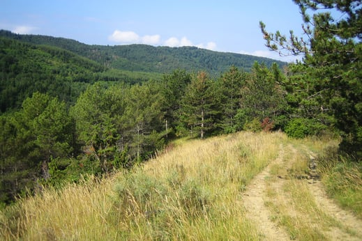Chemin de Montjardin - Espace VTT Aude en Pyrénées
