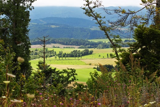 Forêt de Picaussel - Espace VTT Aude en Pyrénées