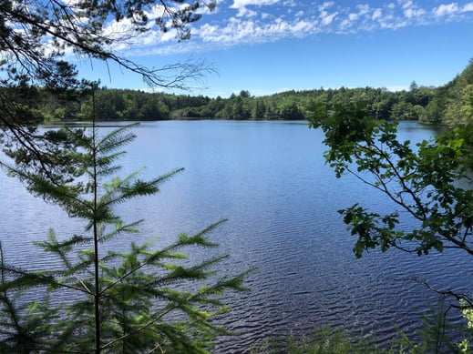 La Prade vue de la berge.