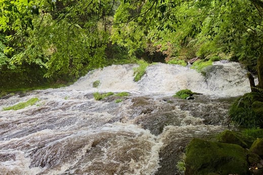 水源地の沢（濁流）