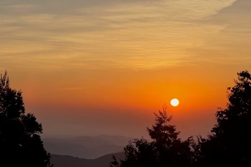 よる森＠竹寺 鐘撞堂からの朝日