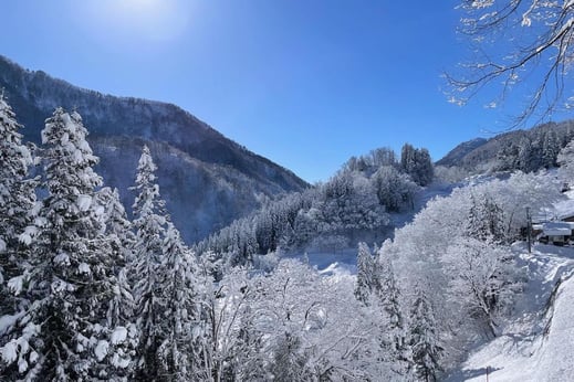 冬の始まりの頃の雪景色（2024年 冬）