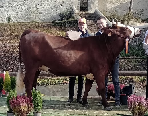 THORVI (Jager x Robuste) à Anthony Bianco - Grande championne