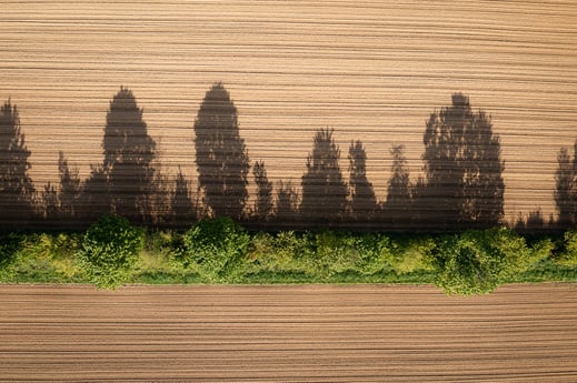 Deutschland - Ostalb - Walxheim