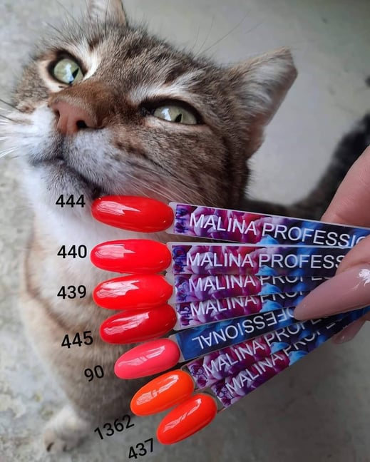 Απολαύστε τα καλύτερα επαγγελματικά προϊόντα που έχετε χρησιμοποιήσει ποτέ. Ξεχωρίστε με τις μοναδικές δημιουργίες σας! Nail art σχέδια εύκολα και γρήγορα. 3D Nail Art - Glitter. Stamping - Sugar Effect. Mermaid - Mirror Effect. Gel - Acrygel - Βάσεις. St