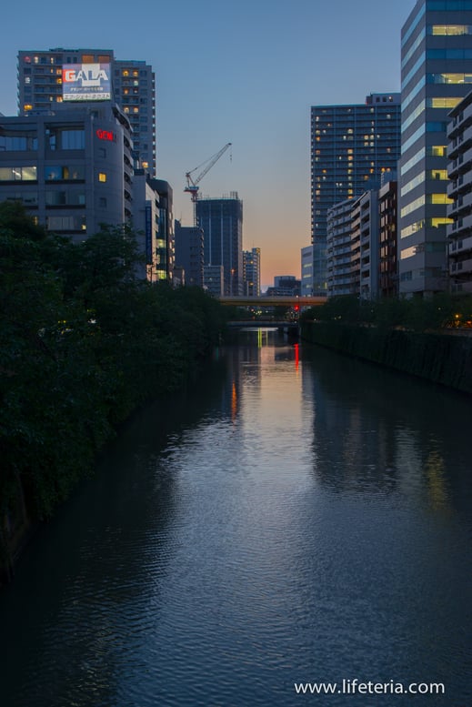 LifeTeria　ブログ