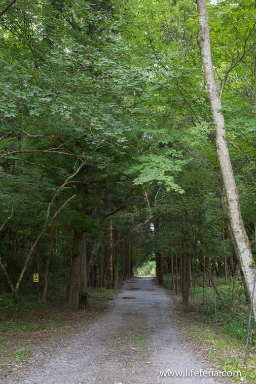 LifeTeria　ブログ