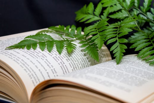 Noré Parada ist Mitglied im Berufsverband der Shiatsu Gesellschaft Schweiz, das zeichnet Sie als ausgebildete qulifizierte Therapeutin mit über 20 Jahren Erfahrung in Prävention.Sie behandelt Erwachsene Menschen und spricht Deutsch, Englisch und Spanisch.