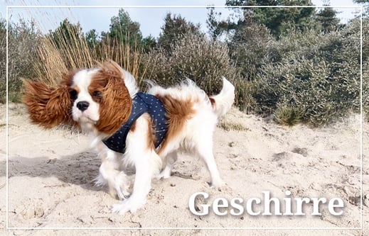 Hundegeschirr Softgeschirr maritim Cavalier King Charles Spaniel Strand Dünen