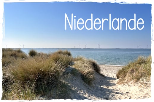 Hundefreundliche Campingplätze in den Niederlanden Zeeland Camping mit Hund