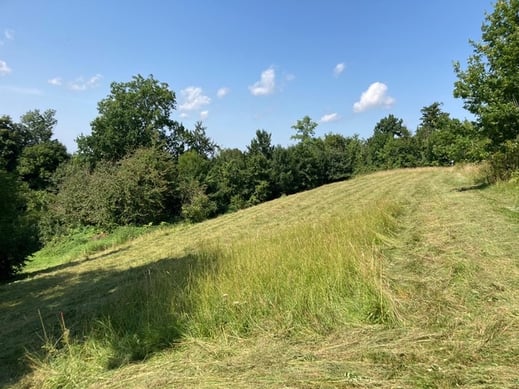 Jaudesberg nach der Mahd (Foto: LBV Starnberg) 