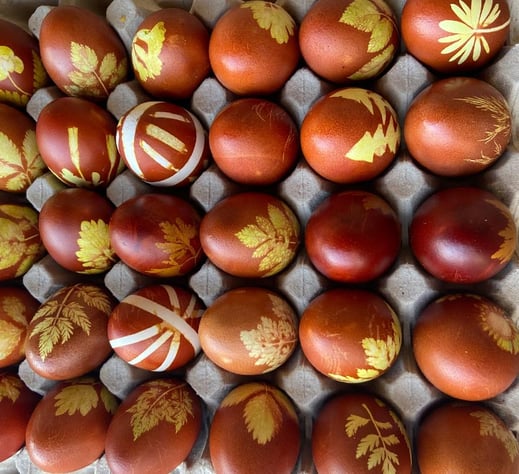 Traditionell mit Wildkräutern gefärbte Eier 