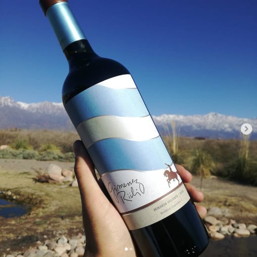 bonarda-rotwein-gimenez-riili-südamerika