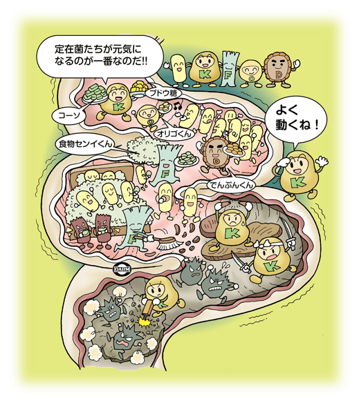 定住菌を元気に