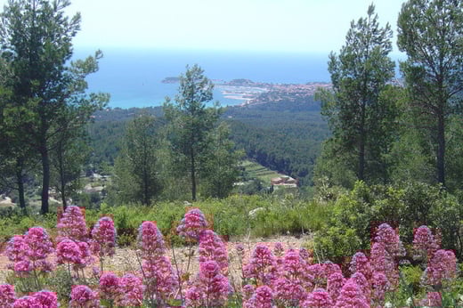 Massif du Gros-Cerveau