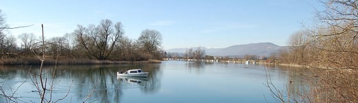 haus bellach wohnung