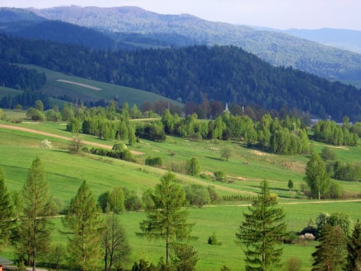 Krajobraz doliny Szczawnickiego Potoku z widoczną, górującą nad wioską Szczawnik wieżą cerkwi pw. św. Demetriusza (Dymitra) 