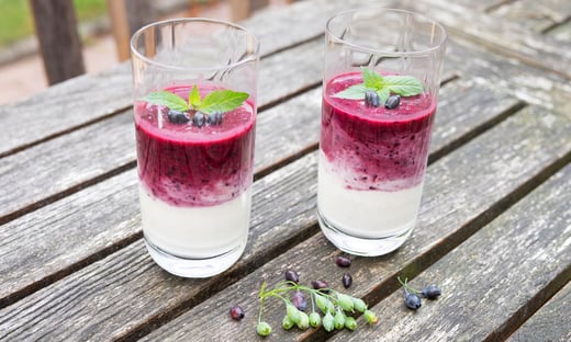 Foto © Harries Plantdesign