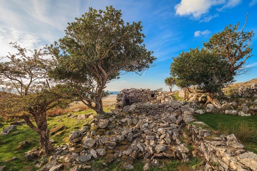 irish famine potato ridges