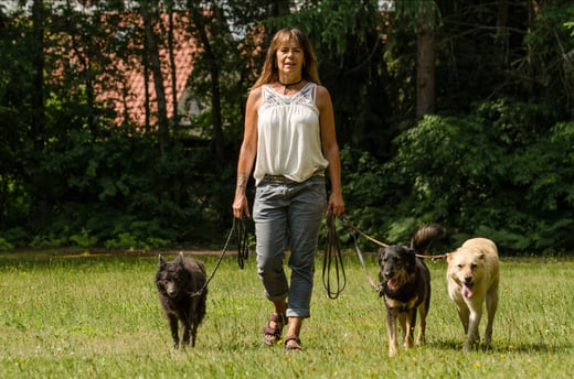 Hundeschule mit Hundetrainer in Tirol