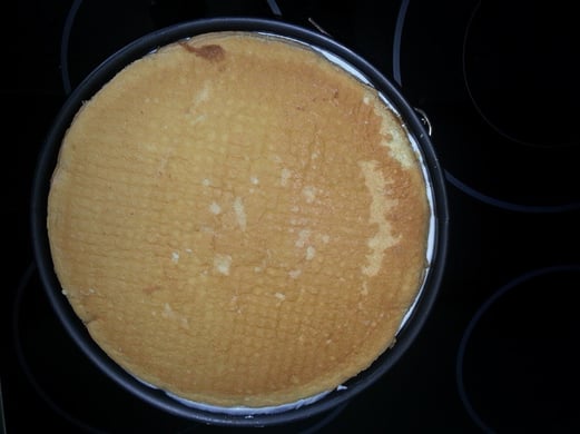 18. und mit dem Biskuitboden abschließen.