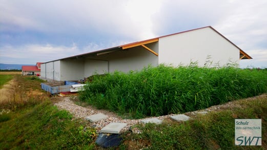 Pflanzenkläranlage für landwirtschaftliches Abwasser, D-Ingelheim